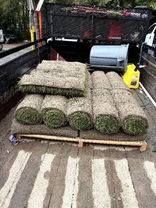 Washington Sod