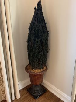 Topiary Evergreen In decorative urn From Walter E Smithe furniture