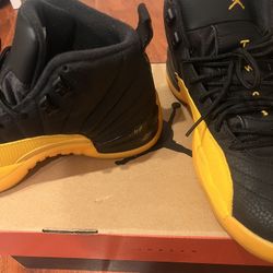 Jordan 12 