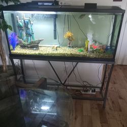 55 Gallon Tank With Stand