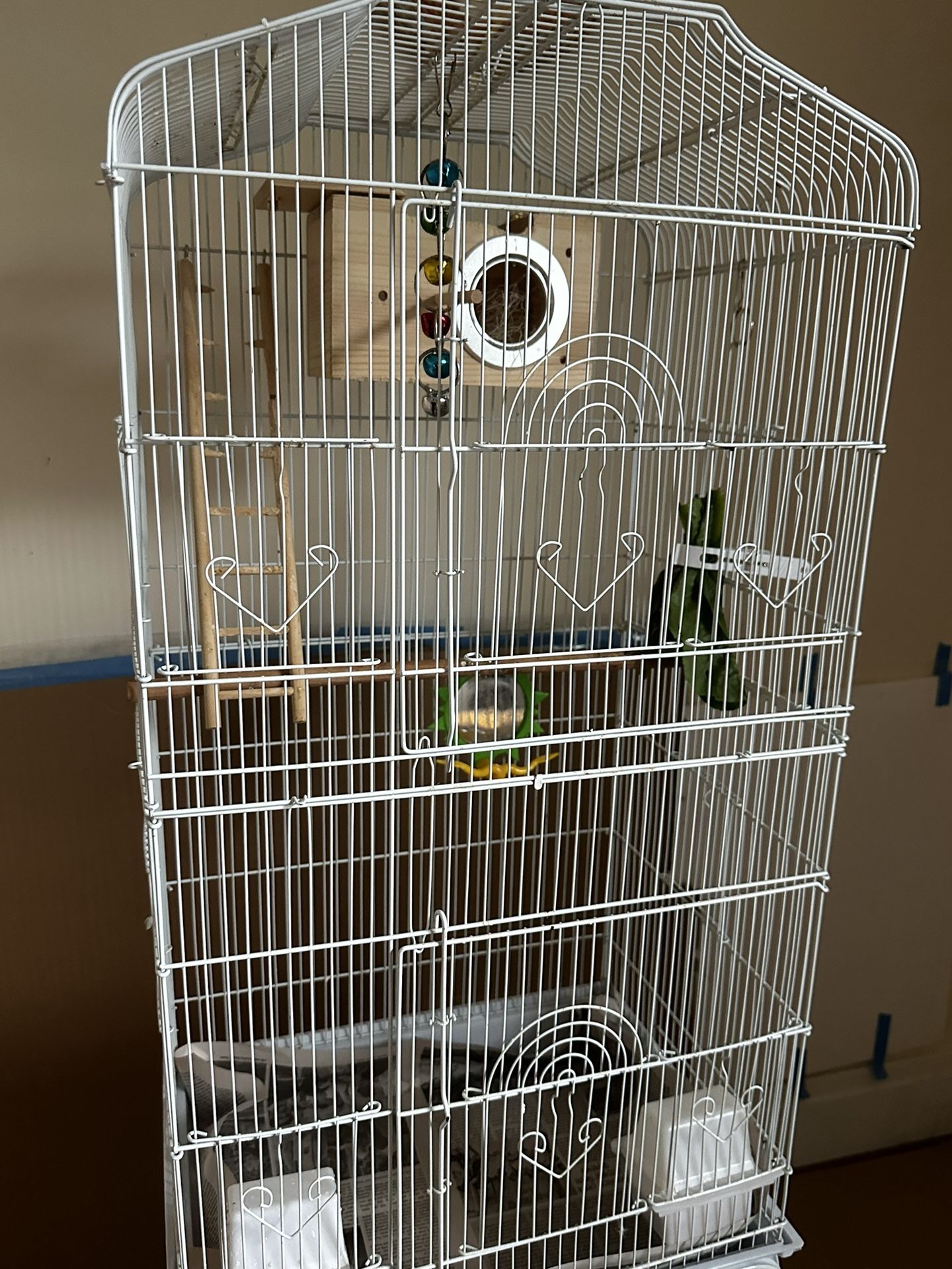 Bird Cage