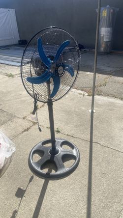 Fan
