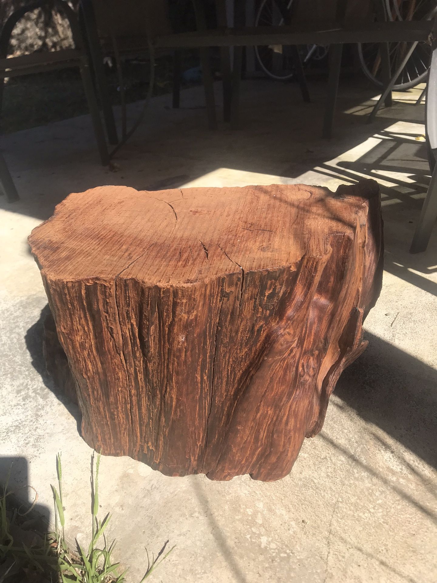 Old growth redwood stump