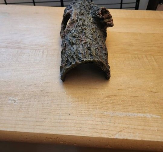 Half-Log Reptile Hide
