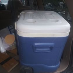 Igloo cooler