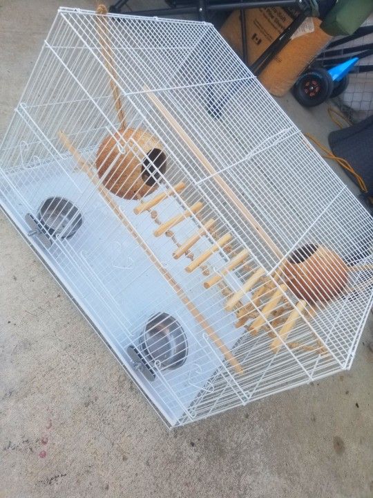 Bird Cage