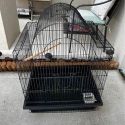 Bird Cage