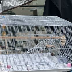 Bird Carrier 