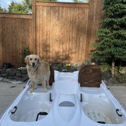 Pelican Paddle Boat