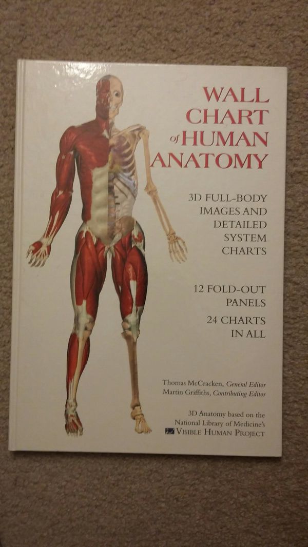 Wall Chart Of Human Anatomy 3d