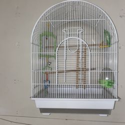 Bird Cage With Toys 