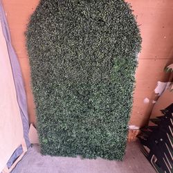 Arched Hedge Wall