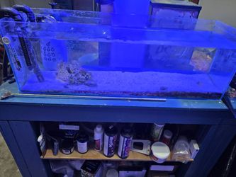 Aquarium