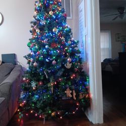 Árbol 