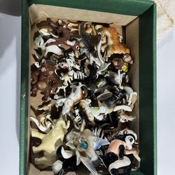 Little Glass Animals 