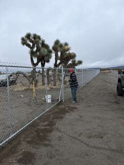 Chain Link Fences