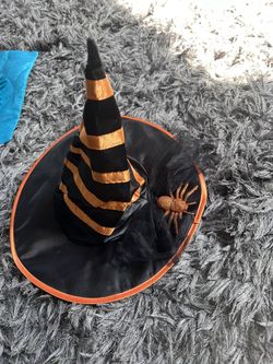 Spider Witch Hat