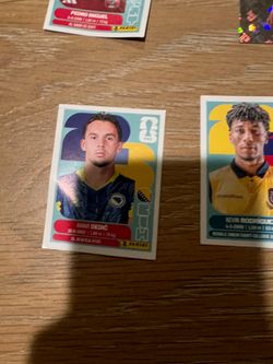FIFA panini World Cup stickers