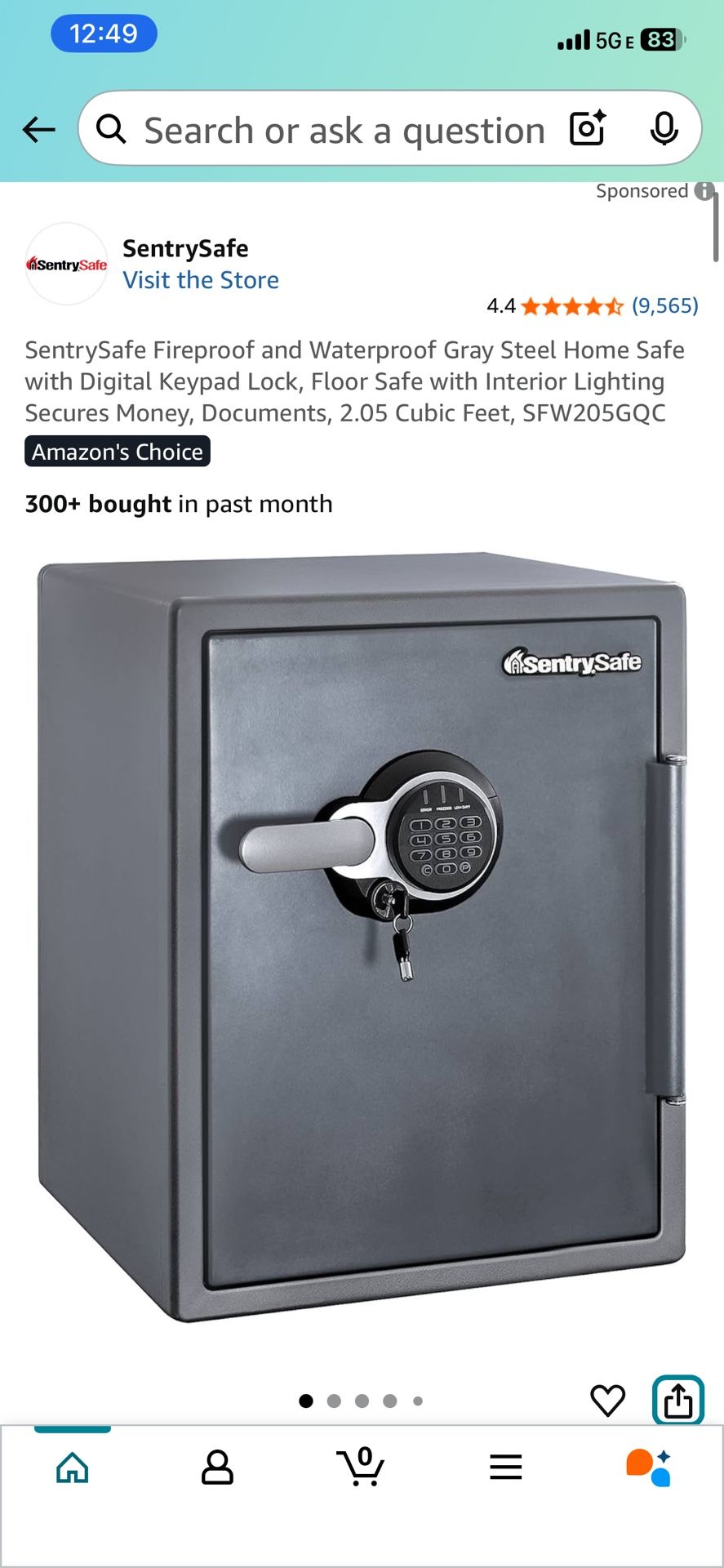 Sentry Safe