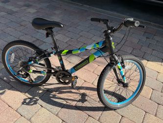 Guardian 20” Large Kids Bike