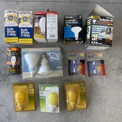 Light Bulbs 