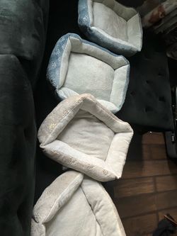 Cat bed