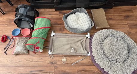 Cat's stuff