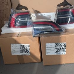 Model 3 Tesla Tail Lights Set 