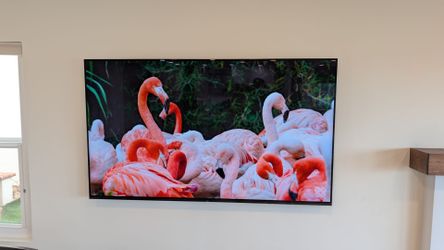Sony MASTER Series 77" A9G 4K OLED TV (Flawless Panel / No Burn-In)