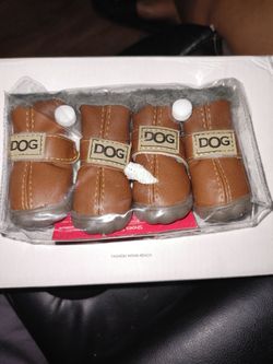Dogs Shoes