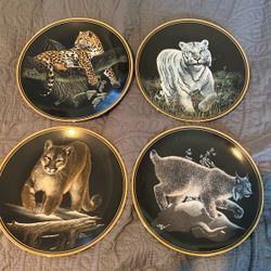 The Hamilton plate collection nature’s nighttime realms
