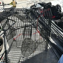 crab trap