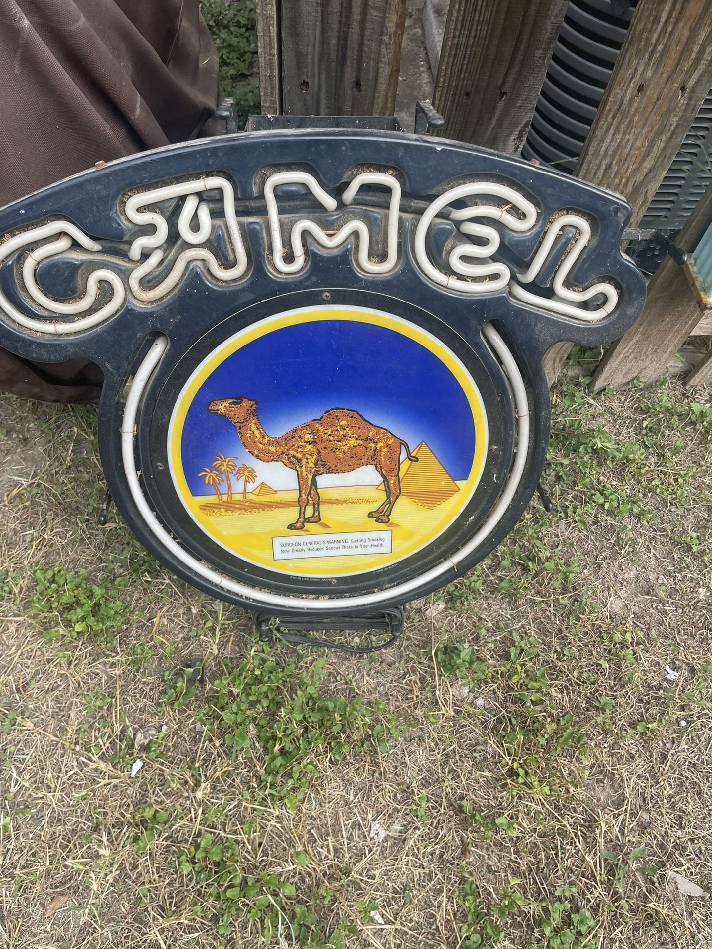 Neon camel sign