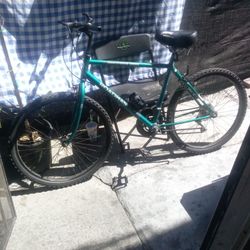 Mountain Bike 