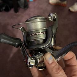 Shimano Sienna Reel- $35