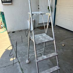 Platform Ladder
