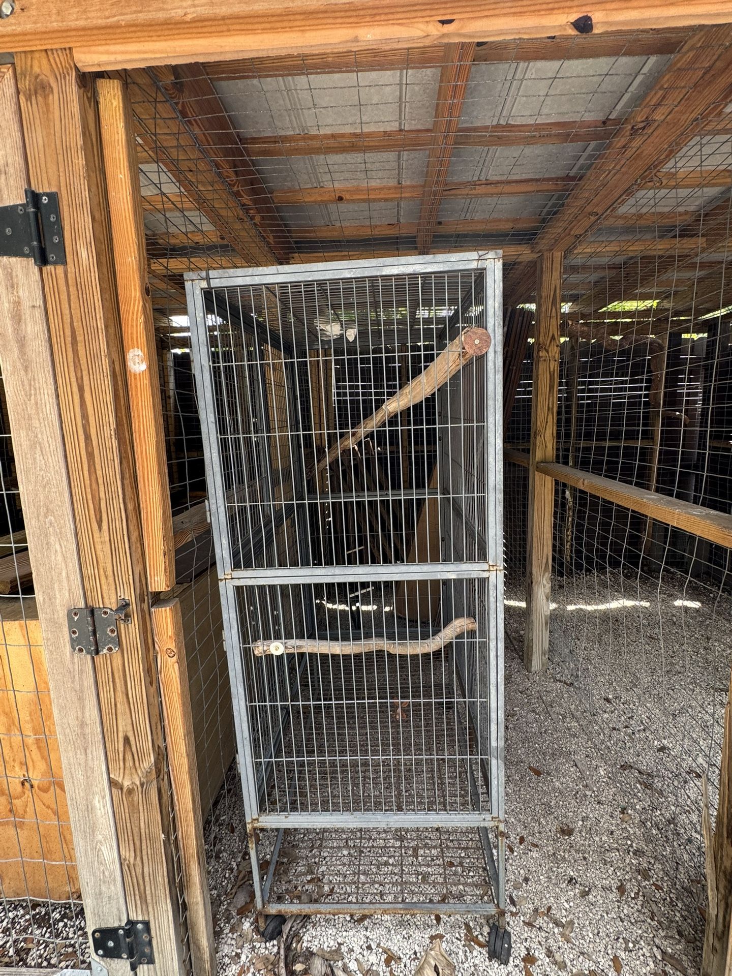 Bird Cage 