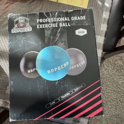 Excercise Ball
