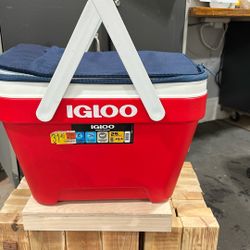 Picnic cooler 25 Quart 