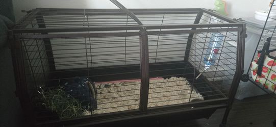 Small animal metal cage