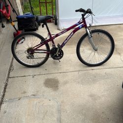 Trail Bicycle 