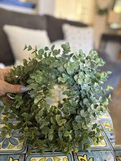 Boxwood Wreath 