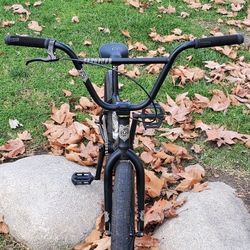 2021 Flybikes Electron 20" Bmx Great for Beginners Bmx Riders Asking $250 Firm Price 