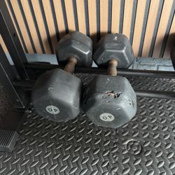 40 Pound Dumbbells - Pair