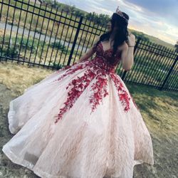 Quince Dress $500