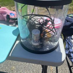 Fish Tank 3 Gallon