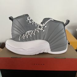 Jordan 12 Stealth Size 13