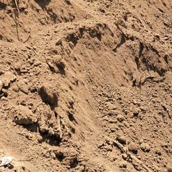 Free Fill Dirt/Soil