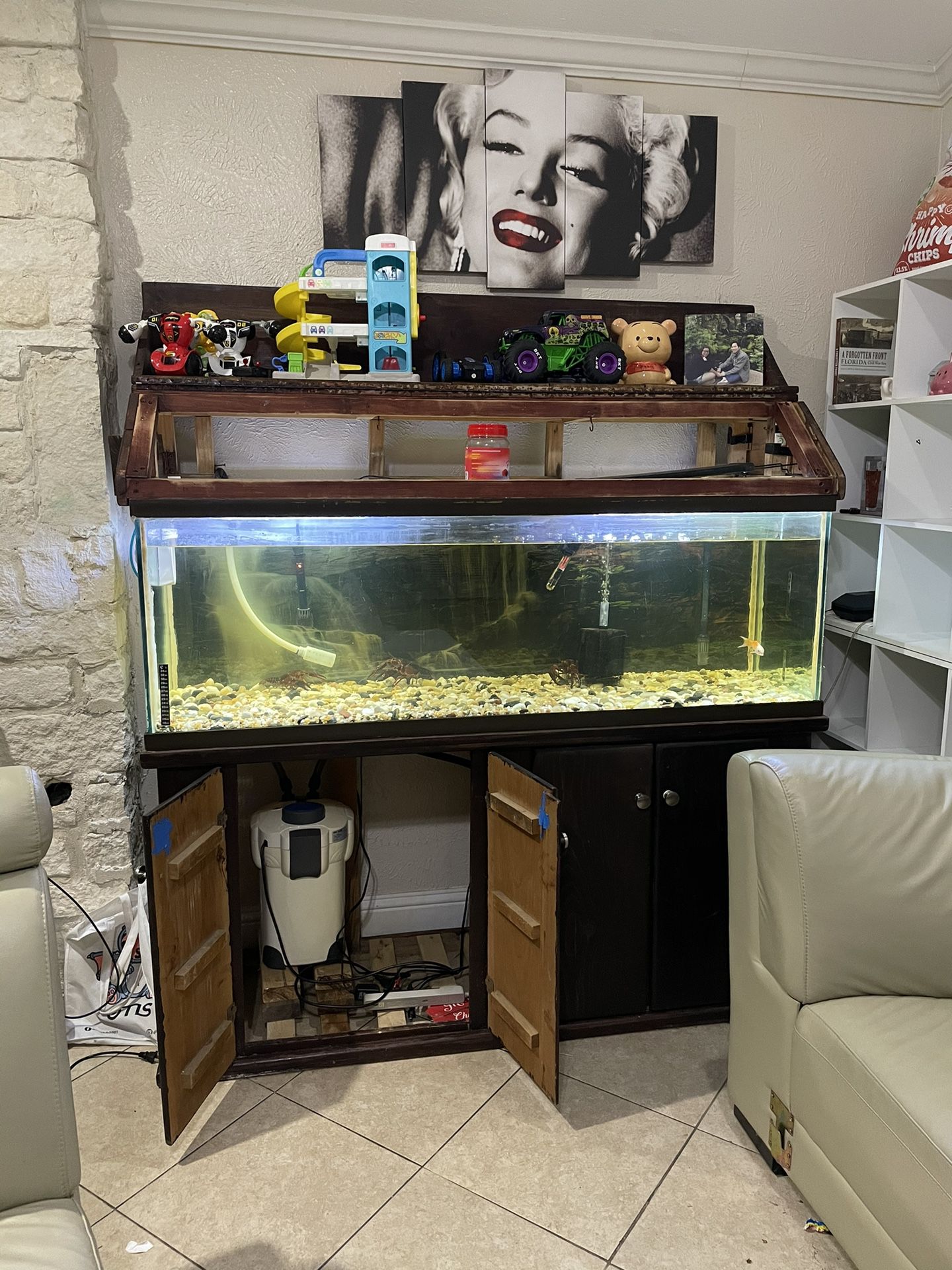 Fish Tank 130 Gallons + Sum Filter + Canister Filter