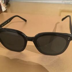 Gentle Monster Sunglasses